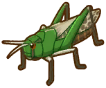 File:SOS GB Bugs & Critters Migratory Locust.png
