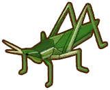 File:SOS GB Bugs & Critters Smallhead Locust.png