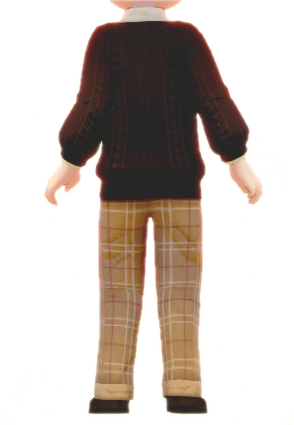 File:SOS Pioneers Customization Outfits Brown Sweater and Slacks Back.png