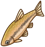 File:SOS GB Fish Amur Minnow.png