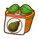 File:SOS Pioneers Items Seeds Avocado Seedling.png