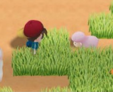 File:Sos fomt animal care 4 grazing.png