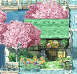 Carnation's Outside