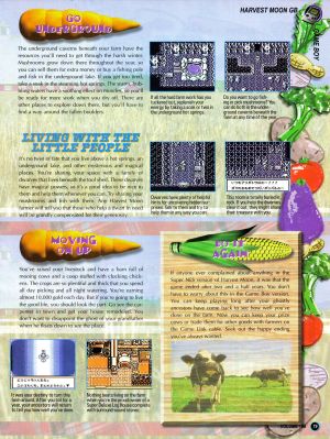 HMGBC Magazine Nintendo Power 3 pg79.jpg