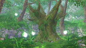 Pl Forest (Story of Seasons A Wonderful Life).jpg