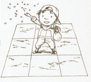 HMGB Wakuwaku Pete fields.jpg