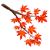 Maple Branch
