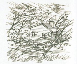 HMGB Wakuwaku Hurricane.jpg