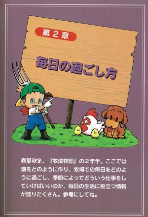 HMSNES IgusaMatsuyamaArtwork 14.jpg