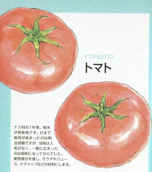 File:HMGB Wakuwaku Tomato.jpg