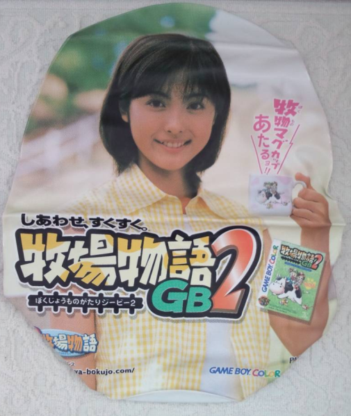 File:HMGB2 Media Vinyl Balloon.png