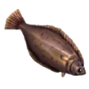 Flounder