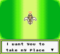 Ranch Spirit's Photo