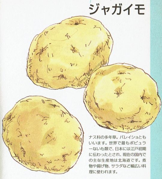 File:HMGB Wakuwaku potato.jpg