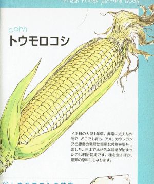 HMGB Wakuwaku corn.jpg