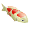 Koi