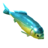 Mahi-mahi