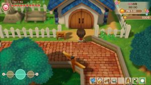 Pl Church (Story of Seasons FoMT).jpg